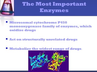 The Most Important
Enzymes
 Microsomal cytochrome P450
monooxygenase family of enzymes, which
oxidize drugs
 Act on structurally unrelated drugs
 Metabolize the widest range of drugs.
 