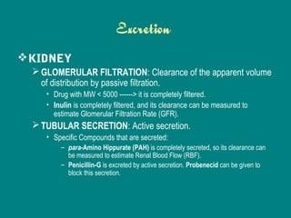 Excretion
KIDNEY
GLOMERULAR FILTRATION: Clearance of the apparent volume
of distribution by passive filtration.
• Drug with MW < 5000 ------> it is completely filtered.
• Inulin is completely filtered, and its clearance can be measured to
estimate Glomerular Filtration Rate (GFR).
TUBULAR SECRETION: Active secretion.
• Specific Compounds that are secreted:
– para-Amino Hippurate (PAH) is completely secreted, so its clearance can
be measured to estimate Renal Blood Flow (RBF).
– Penicillin-G is excreted by active secretion. Probenecid can be given to
block this secretion.
 