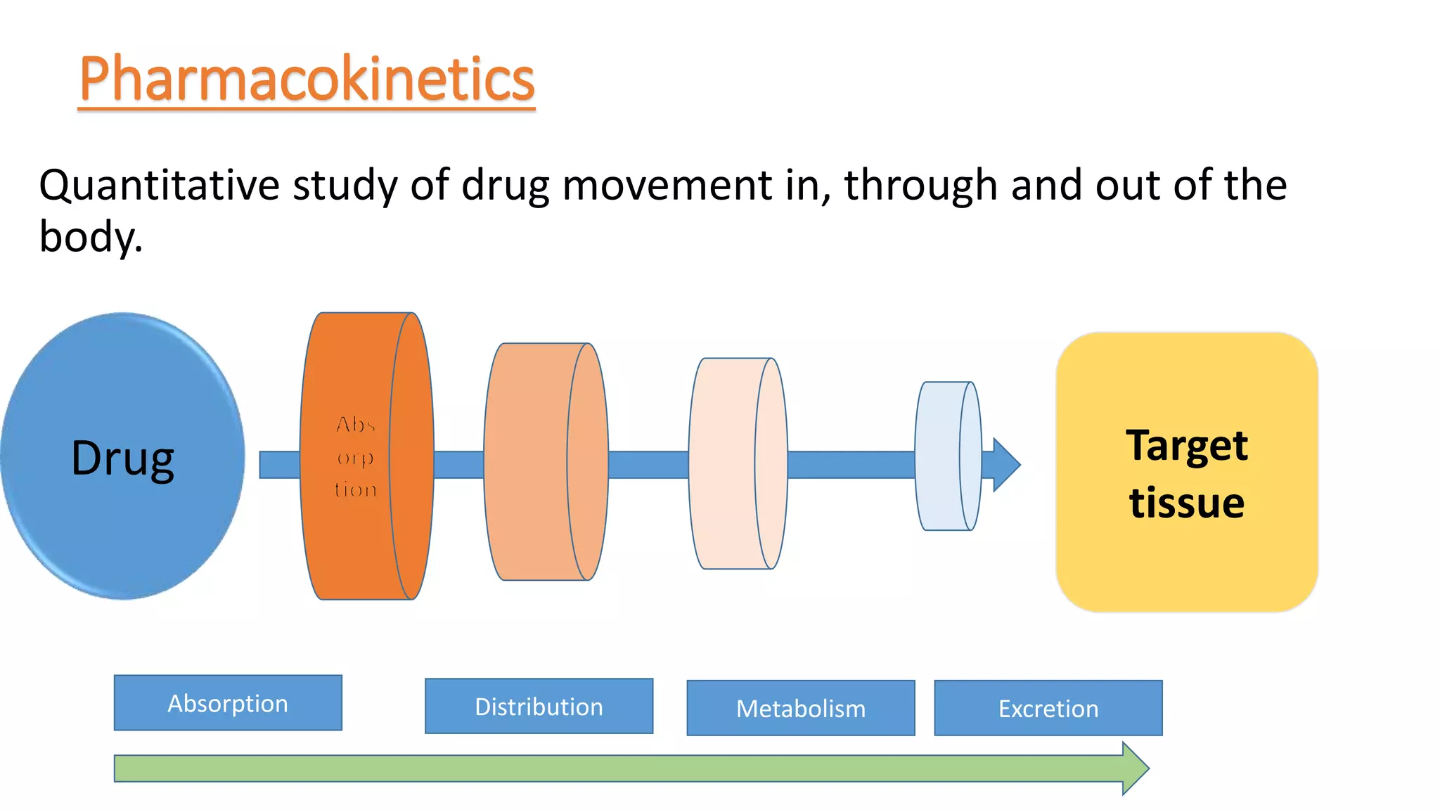 Pharmacokinetics absorption and distribution | PPT