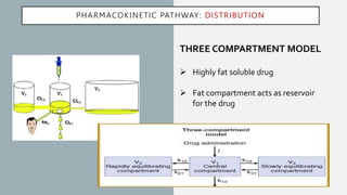 Three Compartment Model Graph Pharmacokinetics and Pharmacodynamics.pptx