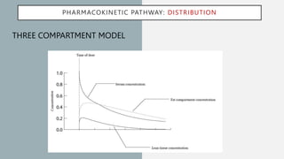 Three Compartment Model Graph Pharmacokinetics and Pharmacodynamics.pptx