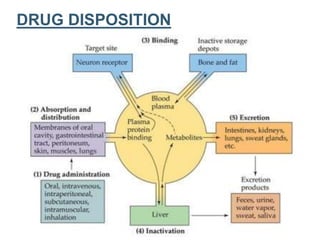 Pharmacokinetics and Pharmacodynamics -Sandeep | PPTX