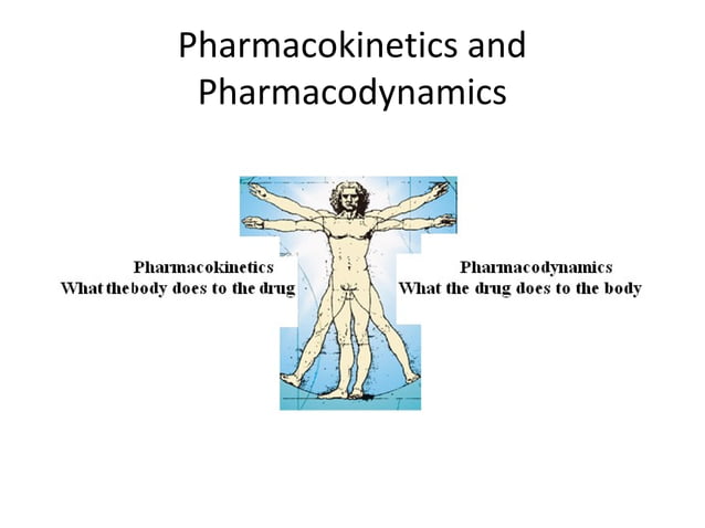 Pharmacokinetics and Pharmacodynamics | PPT