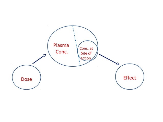 Pharmacokinetics and Pharmacodynamics | PPT
