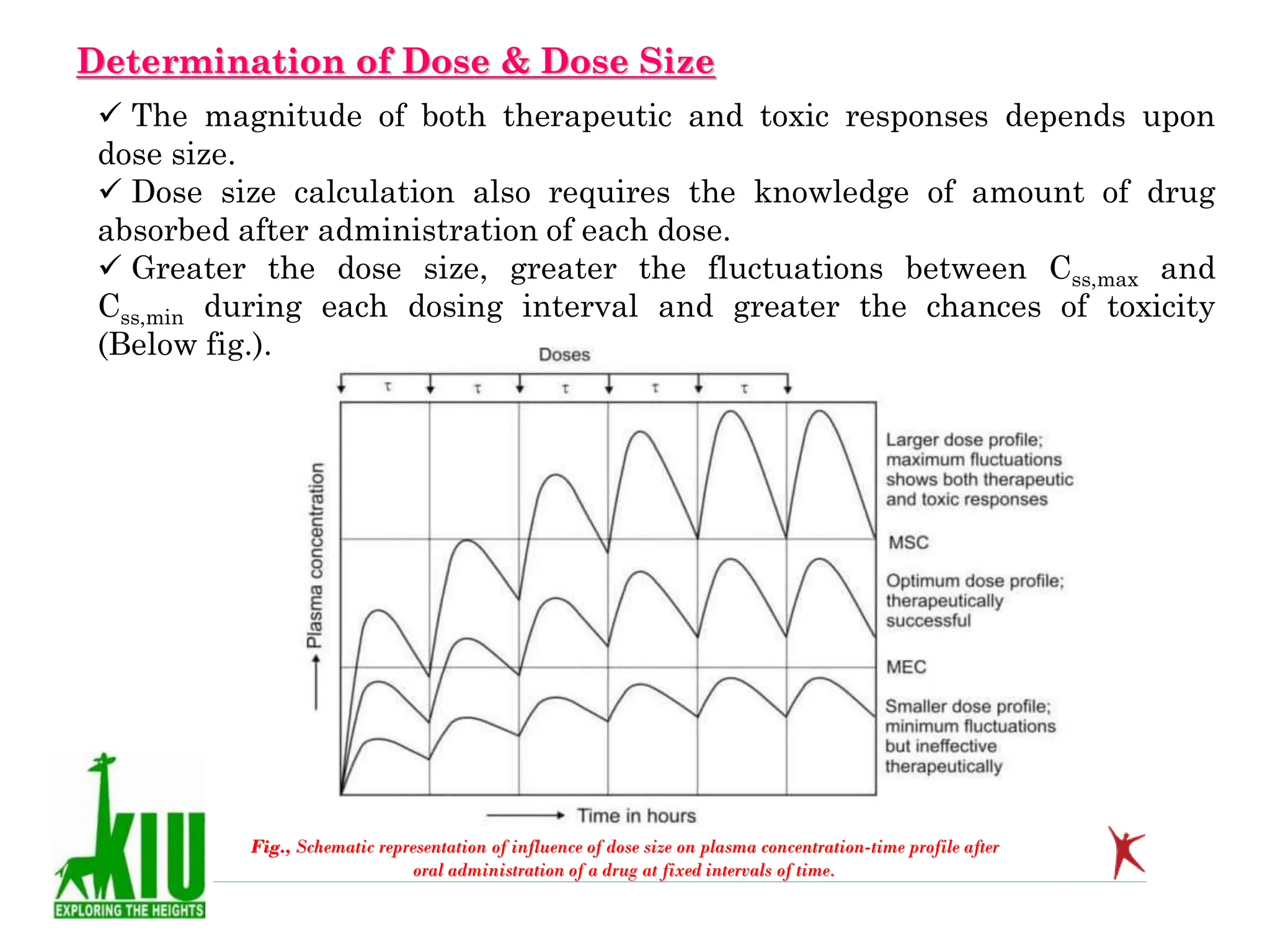 Determination of Dose & Dose Size
 The magnitude of both therapeutic and toxic responses depends upon
dose size.
 Dose size calculation also requires the knowledge of amount of drug
absorbed after administration of each dose.
 Greater the dose size, greater the fluctuations between Css,max and
Css,min during each dosing interval and greater the chances of toxicity
(Below fig.).
Fig., Schematic representation of influence of dose size on plasma concentration-time profile after
oral administration of a drug at fixed intervals of time.
 