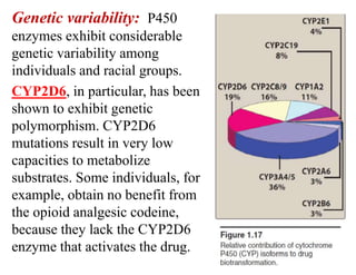 Genetic variability: P450
enzymes exhibit considerable
genetic variability among
individuals and racial groups.
CYP2D6, in particular, has been
shown to exhibit genetic
polymorphism. CYP2D6
mutations result in very low
capacities to metabolize
substrates. Some individuals, for
example, obtain no benefit from
the opioid analgesic codeine,
because they lack the CYP2D6
enzyme that activates the drug.
 