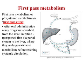 First pass metabolism
First pass metabolism or
presystemic metabolism or
‘first pass effect’
• After oral administration
many drugs are absorbed
from the small intestine -
transported first via portal
system to the liver, where
they undergo extensive
metabolism before reaching
systemic circulation.
 