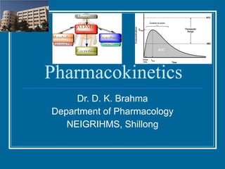 Pharmacokinetics Dr. D. K. Brahma Department of Pharmacology NEIGRIHMS, Shillong 