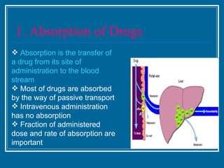 1. Absorption of Drugs <ul><li>Absorption is the transfer of a drug from its site of administration to the blood stream </...