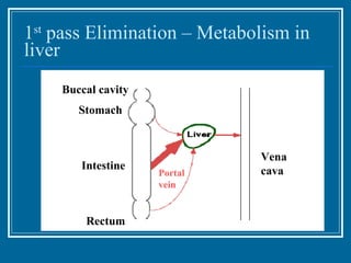1 st  pass Elimination – Metabolism in liver Buccal cavity Stomach Intestine Rectum Portal vein Vena cava 