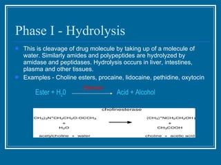 Phase I - Hydrolysis <ul><li>This is cleavage of drug molecule by taking up of a molecule of water. Similarly amides and p...