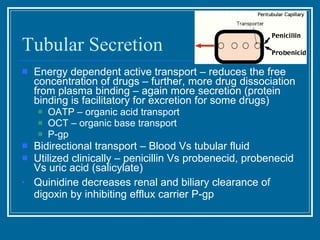 Tubular Secretion <ul><li>Energy dependent active transport – reduces the free concentration of drugs – further, more drug...