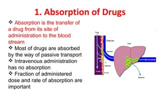 Pharmacokinetics | PPT