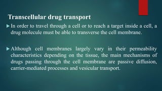 Transcellular drug transport
 In order to travel through a cell or to reach a target inside a cell, a
drug molecule must be able to transverse the cell membrane.
 Although cell membranes largely vary in their permeability
characteristics depending on the tissue, the main mechanisms of
drugs passing through the cell membrane are passive diffusion,
carrier-mediated processes and vesicular transport.
 