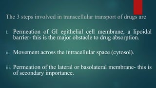 The 3 steps involved in transcellular transport of drugs are
i. Permeation of GI epithelial cell membrane, a lipoidal
barrier- this is the major obstacle to drug absorption.
ii. Movement across the intracellular space (cytosol).
iii. Permeation of the lateral or basolateral membrane- this is
of secondary importance.
 