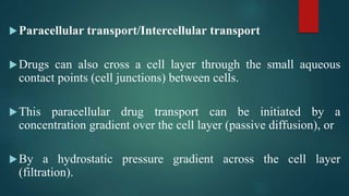 Paracellular transport/Intercellular transport
Drugs can also cross a cell layer through the small aqueous
contact points (cell junctions) between cells.
This paracellular drug transport can be initiated by a
concentration gradient over the cell layer (passive diffusion), or
By a hydrostatic pressure gradient across the cell layer
(filtration).
 