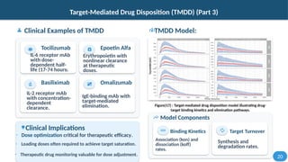Tmdd Example Pharmacokinetics of Biopharmaceutical Products-2.pptx