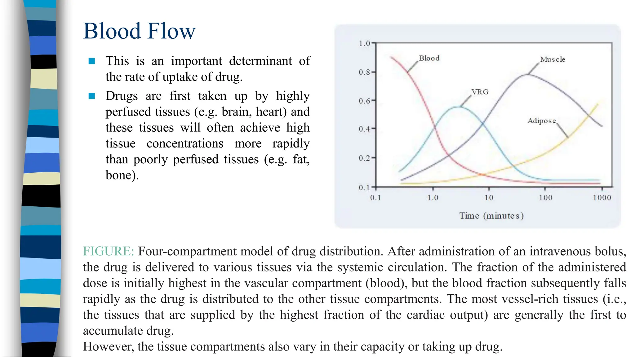 Pharmacokinetics of Drug_Pharmacology Course_Muhammad Kamal Hossain.pptx