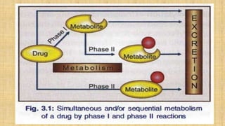 Pharmacokinetics of Drug_Pharmacology Course_Muhammad Kamal Hossain.pptx