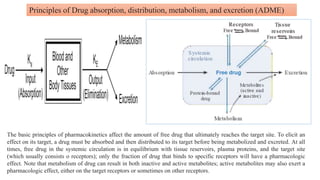 Pharmacokinetics of Drug_Pharmacology Course_Muhammad Kamal Hossain.pptx