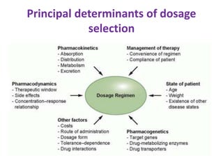 Pharmacokinetics & pharmacodynamics of anticancer agents | PPTX