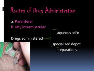 Routes of Drug Administration
2. Parenteral
b. IM / intramuscular
                          aqueous sol’n
Drugs administered
                        specialized depot
                          preparations
 