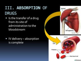 III. ABSORPTION OF
DRUGS
 Is the transfer of a drug
  from its site of
  administration to the
  bloodstream

 IV delivery – absorption
  is complete
 