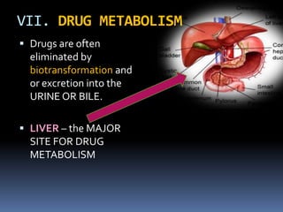 VII. DRUG METABOLISM
 Drugs are often
  eliminated by
  biotransformation and
  or excretion into the
  URINE OR BILE.

 LIVER – the MAJOR
  SITE FOR DRUG
  METABOLISM
 