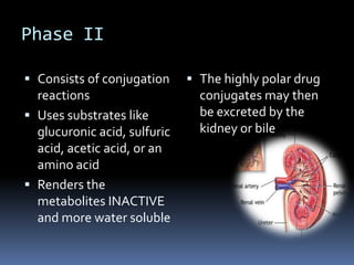 Phase II

 Consists of conjugation      The highly polar drug
  reactions                     conjugates may then
 Uses substrates like          be excreted by the
  glucuronic acid, sulfuric     kidney or bile
  acid, acetic acid, or an
  amino acid
 Renders the
  metabolites INACTIVE
  and more water soluble
 