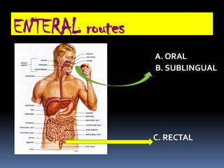 ENTERAL routes
                 A. ORAL
                 B. SUBLINGUAL




                 C. RECTAL
 