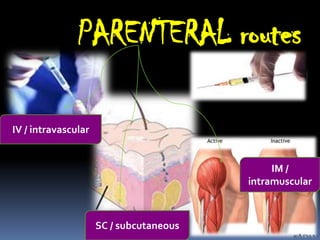 PARENTERAL routes

IV / intravascular


                                              IM /
                                         intramuscular



                     SC / subcutaneous
 