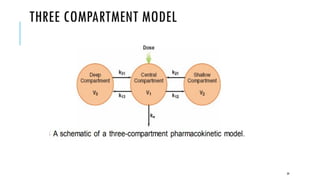 Three Compartment Model Graph PHARMACOKINETICS PPT.pptx clinical applications of pharmaco kinetics | PPTX