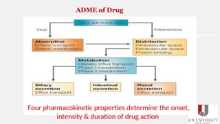 PHARMACOKINETICS - Absorption (Transport) | PPTX