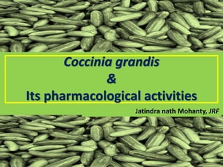 Coccinia grandis
&
Its pharmacological activities
Jatindra nath Mohanty, JRF
 