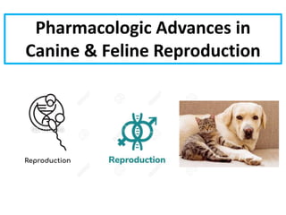 Pharmacologic Advances in
Canine & Feline Reproduction
 
