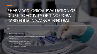 PHARMACOLOGICAL EVALUATION OF
DIURETIC ACTIVITY OF TINOSPORA
CARDIFOLIA IN SWISS ALBINO RAT
BY
• Name : Booshi Shailaja
• College: KGR Institute of technology and Management
• University : OU
• Hall Ticket No : 256821887001
• Supervisor: Dr.Nagaraju M Kulkarni
• Title : Assistant Professor
 