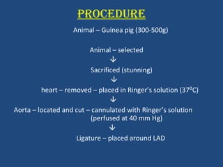PROCEDURE Animal – Guinea pig (300-500g) Animal – selected  Sacrificed (stunning)  heart – removed – placed in Ringer’s solution (37⁰C)  Aorta – located and cut – cannulated with Ringer’s solution  (perfused at 40 mm Hg)  Ligature – placed around LAD 