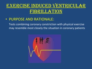 EXERCISE INDUCED VENTRICULAR FIBRILLATION PURPOSE AND RATIONALE: Tests combining coronary constriction with physical exercise may resemble most closely the situation in coronary patients 