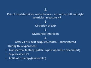 ↓ Pair of insulated silver coated wires – sutured on left and right ventricles- measure HR  ↓ Occlusion of LAD ↓ Myocardial infarction ↓ After 24 hrs- test drug/std/control - administered During this experiment: Transdermal fentanyl patch (↓post operative discomfort) Bupivacaine HCl Antibiotic therapy(amoxicillin) 