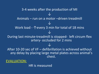 3-4 weeks after the production of MI ↓ Animals – run on a motor –driven treadmill ↓ Work load - ↑every 3 min for total of 18 mins ↓ During last minute-treadmill is stopped-  left circum flex artery- occluded for 2 mins ↓ After 10-20 sec of VF – defibrillation is achieved without any delay by placing large metal plates across animal’s chest. EVALUATION: HR is measured 