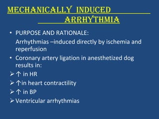 MECHANICALLY  INDUCED  ARRHYTHMIA PURPOSE AND RATIONALE: Arrhythmias –induced directly by ischemia and reperfusion Coronary artery ligation in anesthetized dog results in: ↑  in HR ↑ in heart contractility ↑  in BP Ventricular arrhythmias 