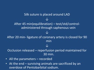 Silk suture is placed around LAD ↓ After 45 min(equilibration) – test/std/control- administered through saphenous vein  ↓ After 20 min- ligature of coronary artery is closed for 90 min ↓ Occlusion released – reperfusion period maintained for 30 min. All the parameters – recorded At the end – surviving animals are sacrificed by an overdose of Pentobarbital sodium. 