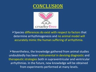 CONCLUSION Species  differences do exist with respect to factors  that determine arrhythmogenesis and  no animal model will accurately mimic the human suffering of arrhythmia.  Nevertheless, the knowledge gathered from animal studies undoubtedly has been  instrumental in devising diagnostic  and  therapeutic strategies  both in supraventricular and ventricular arrhythmias. In the future, new knowledge will be obtained from experiments performed at many levels. 