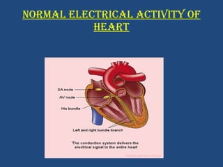 NORMAL ELECTRICAL ACTIVITY OF HEART 