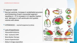 INTERPRETATION OF STRESS ECHO
17 segment model
 Normal ventricle- Increase in endothelial excursion
and thickening of each myocardial segment
resulting in > 5 % increase in LV ejection fraction
and decrease in Left ventricular end systolic
volume with stress
 HYPERKINESIS – normal response to stress
 Lack of Hyperkinesis:
- Myocardial ischemia
- Non –ischemic CMP.
- Beta blocker therapy
- Severe hypertension
- Delay in image acquisition
 