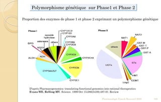 Pharmacologie Franck Rencurel 2020 100
D’aprés Pharmacogenomics: translating functional genomics into rational therapeutics
Evans WE, Relling MV. Science. 1999 Oct 15;286(5439):487-91. Review
Polymorphisme génétique sur Phase1 et Phase 2
Proportion des enzymes de phase 1 et phase 2 exprimant un polymorphisme génétique
 