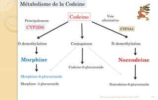 Codeine
O-demethylation N-demethylationConjugaison
Morphine Norcodeine
CYP2D6 CYP3A4
Codeine-6-glucuronide
Morphine-6-glucuronide
Morphine- 3-glucuronide Norcodeine-6-glucuronide
Métabolisme de la Codeine
Pharmacologie Franck Rencurel 2020 105
Principalement
Voie
alternative
 