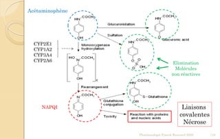 Pharmacologie Franck Rencurel 2020 110
Acétaminophène
NAPQI
Elimination
Molécules
non réactives
CYP2E1
CYP1A2
CYP3A4
CYP2A6
Liaisons
covalentes
Nécrose
 