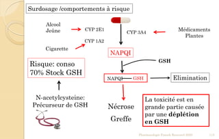 Surdosage /comportements à risque
N-acetylcysteine:
Précurseur de GSH
NAPQI
Risque: conso
70% Stock GSH
Nécrose
Elimination
Greffe
CYP 2E1
CYP 1A2
CYP 3A4
Pharmacologie Franck Rencurel 2020 113
Alcool
Jeûne
Cigarette
Médicaments
Plantes
NAPQI GSH
GSH
La toxicité est en
grande partie causée
par une déplétion
en GSH
 
