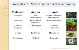 Exemples de Médicaments dérivés de plantes
Pharmacologie Franck Rencurel 2020 118
Molécule Action Plante
Atropine Anti
cholinergique
Atropa Belladona
Mandragore..
Berberine Dysenterie à
colibacilles
Berberis vulgaris
Codeine
Morphine
Analgésique Papaver
somniferum
L-Dopa Parkinson Mucuna sp
Scopolamine Sédatif Datura Sp
 